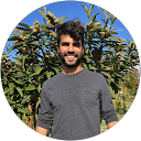 Shay Avitan profile picture